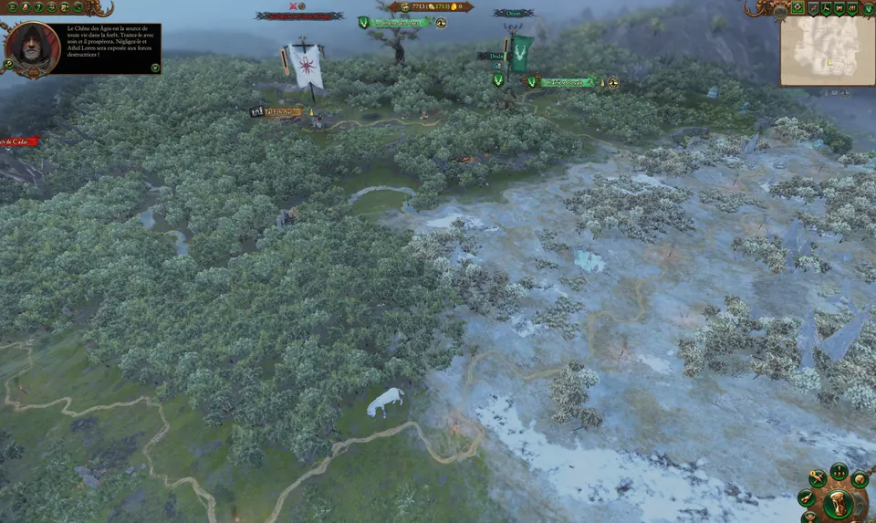 The campaign map in game: the Oak of Ages, the King's Glade and snowy woods